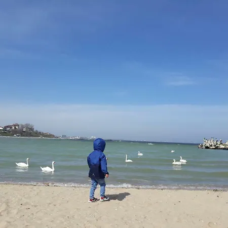 Rima Del Mar ゲストハウス エフォリエ・ノルド